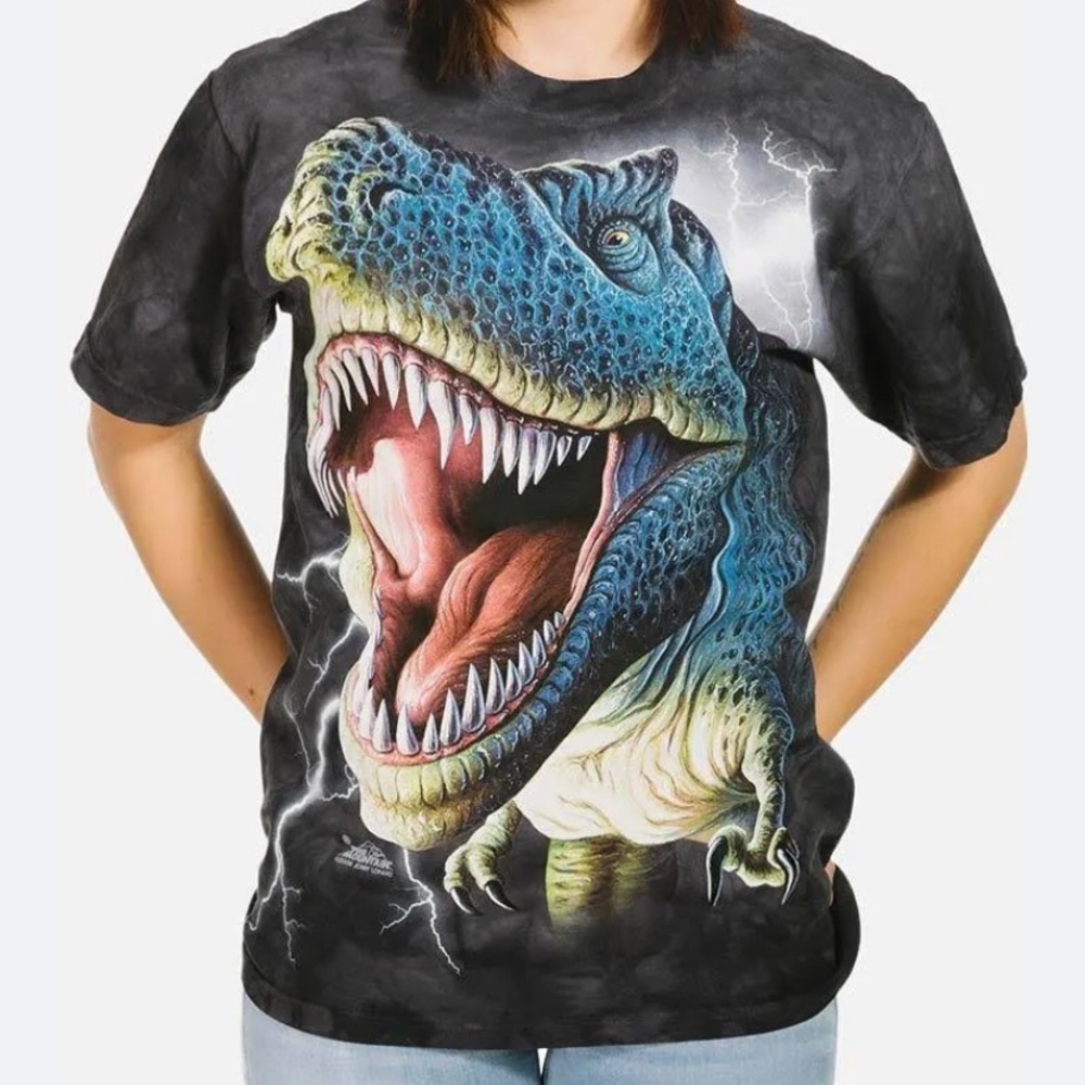 The Mountain Dino shirt size small boys NWOT
